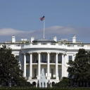 Stand at the gates of the White House